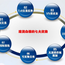 安徽美尔斯特投资 实业投资与电子商务技术开发双轮驱动